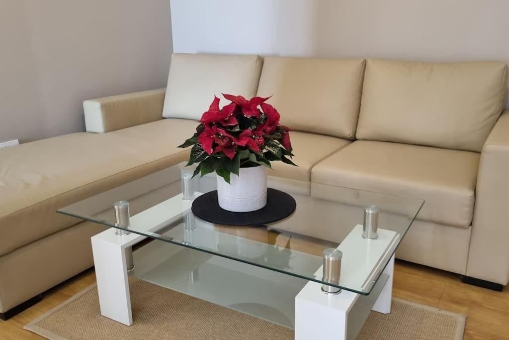 Bh & Semiramida Ski Apartment Borovec Kültér fotó